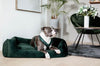 Dog Harness Active Velvet Pine Green