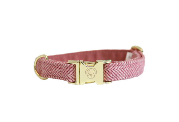 Dog Collar Wool Raspberry