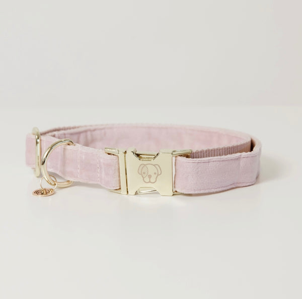 Dog Collar Velvet Light Rose