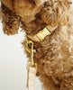 Dog Collar Wool Beige