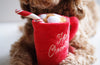 Plush Hot Chocolate