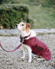 Plaited Nylon Dog Collar Bordeaux