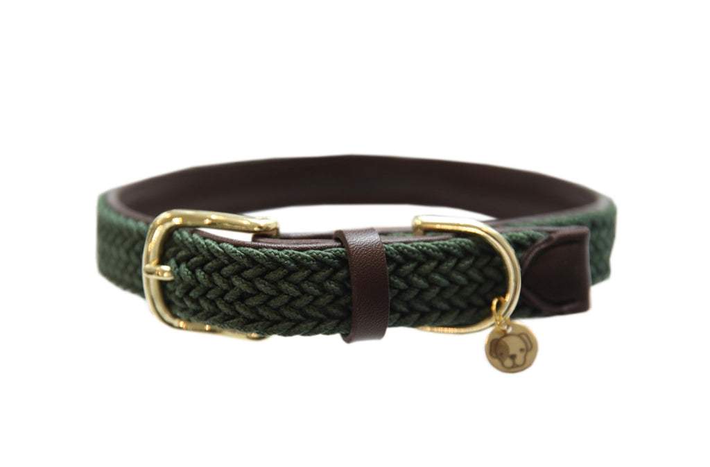 Plaited Nylon Dog Collar Olive Green