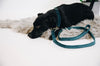 Dog Leash Velvet Emerald