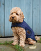 Dog Coat Navy