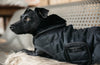 Dog Coat Black