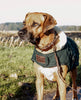 Dog Coat Dark Green