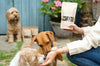 Natural Dog Treats- Beef