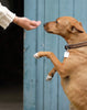 Natural Dog Treats- Beef