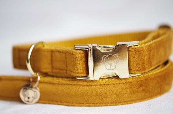 Dog Collar Velvet Mustard