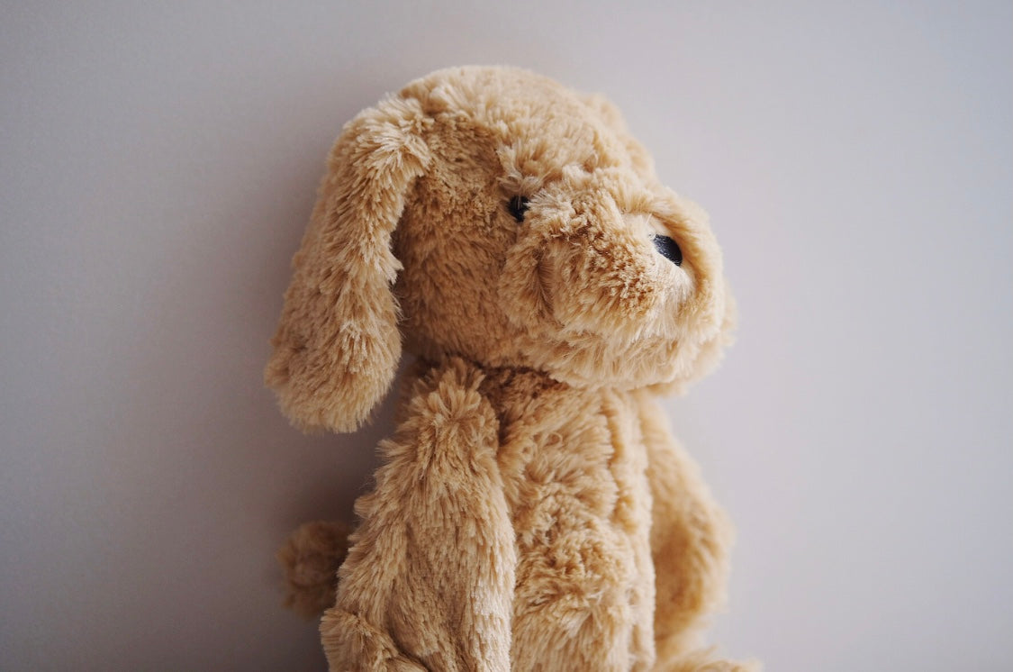 Plüsch Cockapoo Nugget – Nugget Nielsen