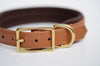 Premium Dog Collar Waterproof