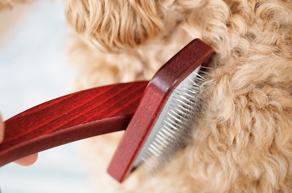 Maxi Pin Slicker Dog Brush