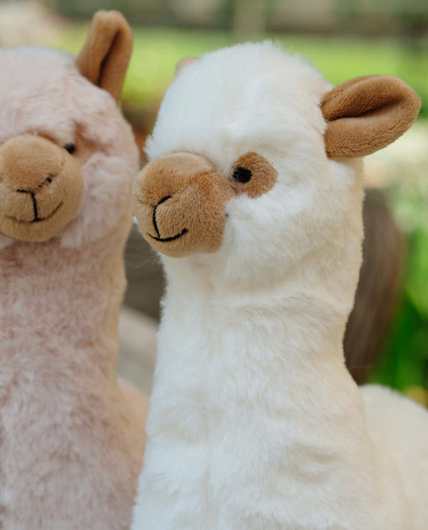 Alpaca Plush Toy