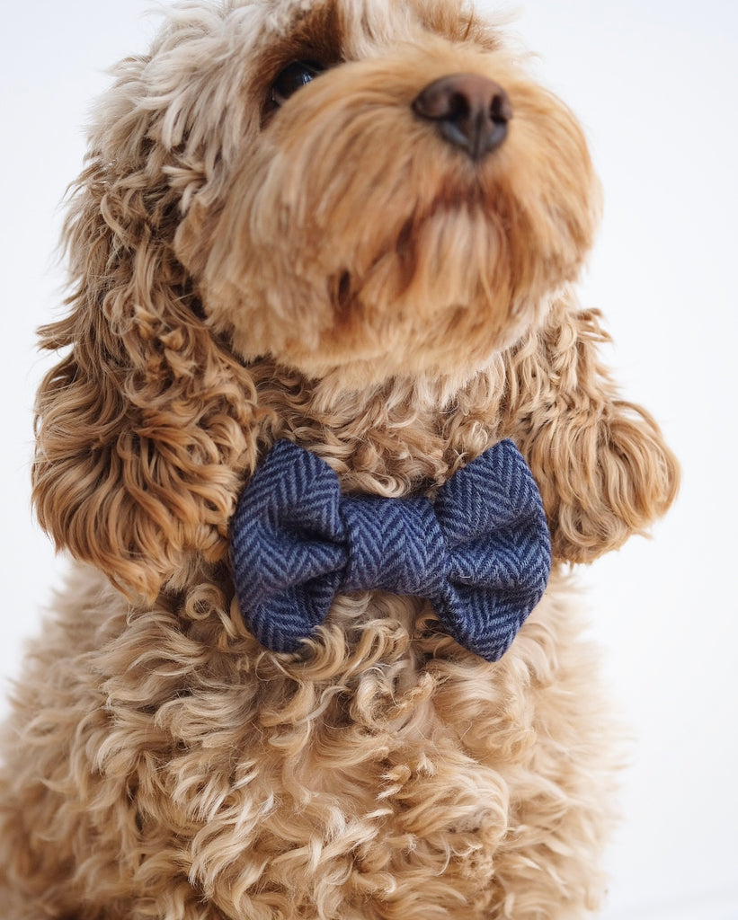 Bow Tie Herringbone Navy