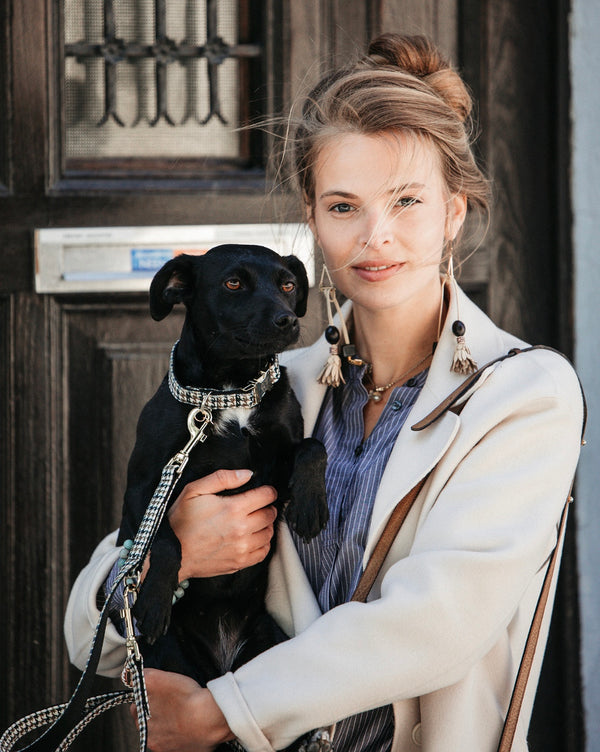 Dog Collar Pied-de-Poule Brown