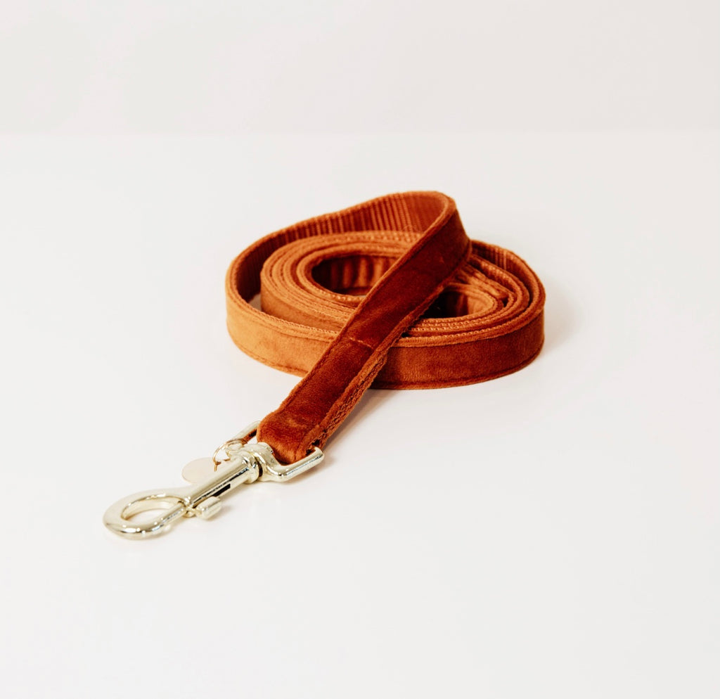 Dog Leash Velvet Orange