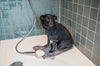 Dog Bathrobe & Towel