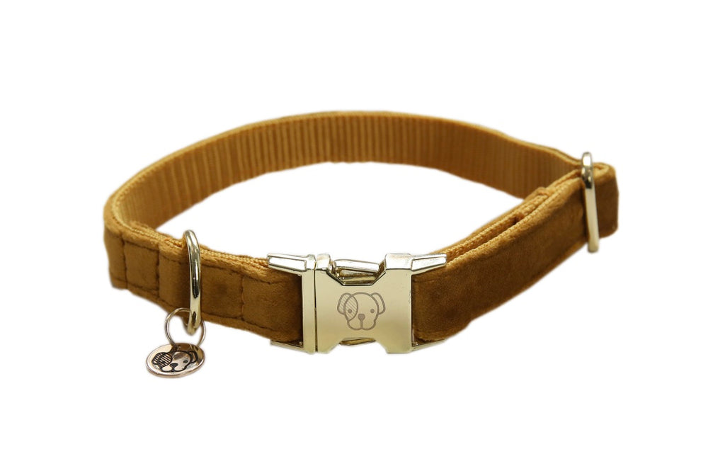 Dog Collar Velvet Mustard