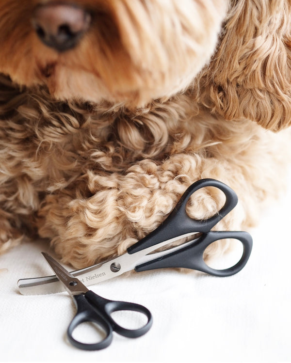 Dog Grooming Scissor Set Grey