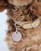 Round Stainless Steel Dog Tag - Cursive