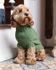 Alpaca Sweater Olive