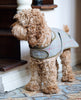 Tweed Dog Coat Sage