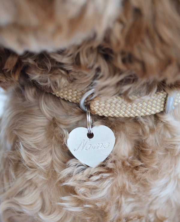 Heart Shaped Stainless Steel Dog Tag - Cursive