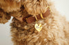 Rolled Tweed Dog Collar Rose