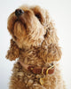 Rolled Tweed Dog Collar Rose